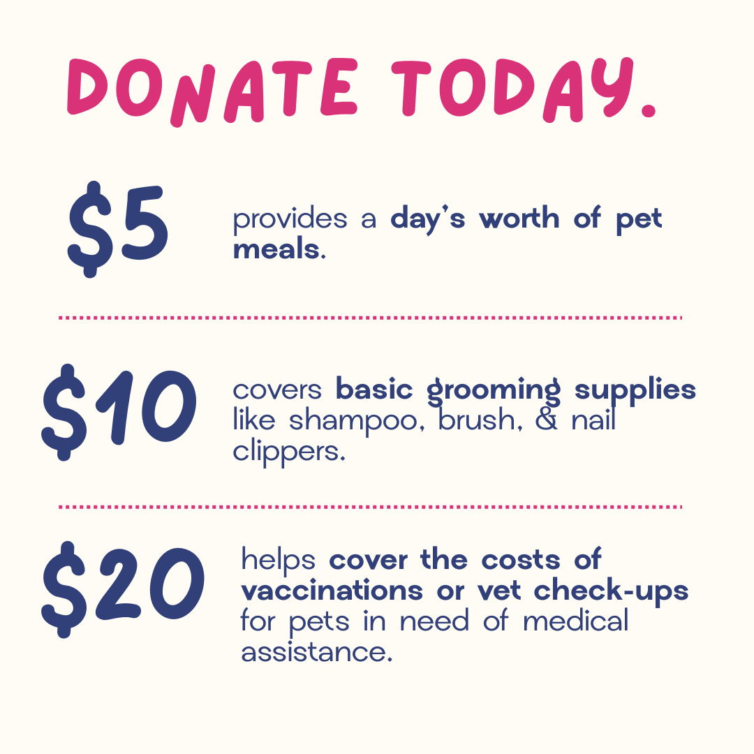Make your impact by donating to Giving4Pets today. A donation of $5 can provide a day's worth of meals for a pet in need. 🐶❤️

Donate now: kindest.com/giving4pets-th…