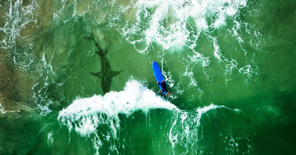 ScottEnsorMS's tweet photo. The tech-heavy S&amp;P 500 index has surged, but underlying risks remain. How can you help mitigate them in your portfolio? Learn more. https://t.co/vSNdHTTZ6e https://t.co/4rFar6zRs2