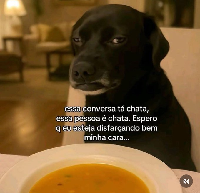 memes para relaxar e sobreviver tweet media