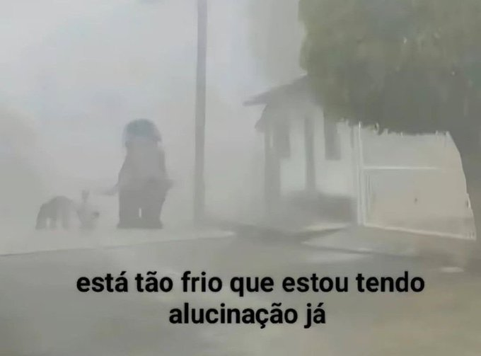 memes para relaxar e sobreviver tweet media
