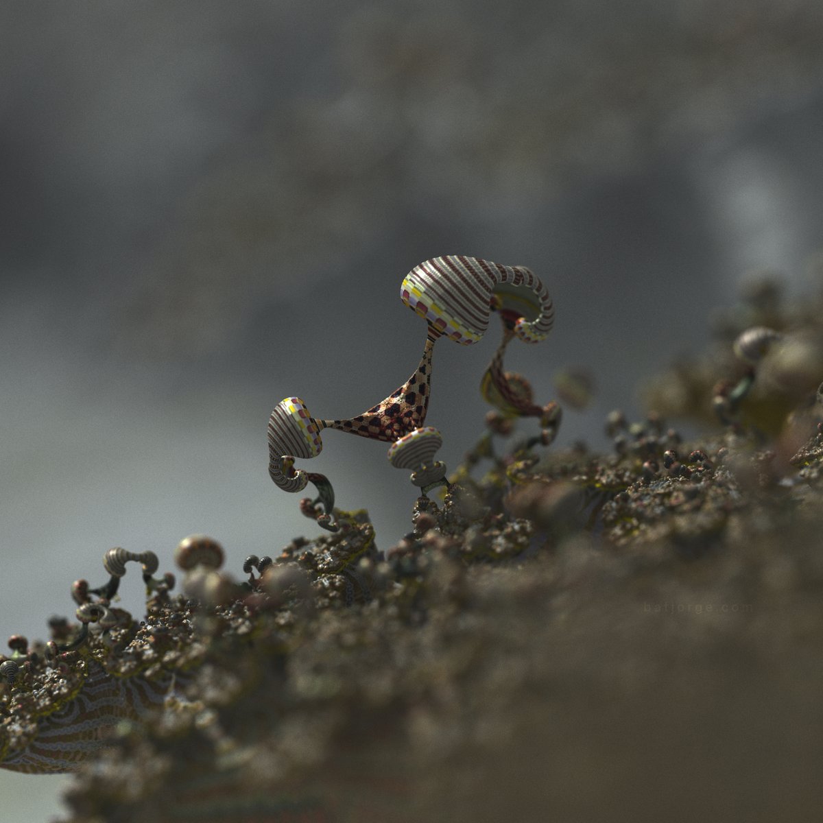 batjorge__'s tweet image. Jungle Fever

Small jungle fractal-shrooms.

Made with Mandelbulber