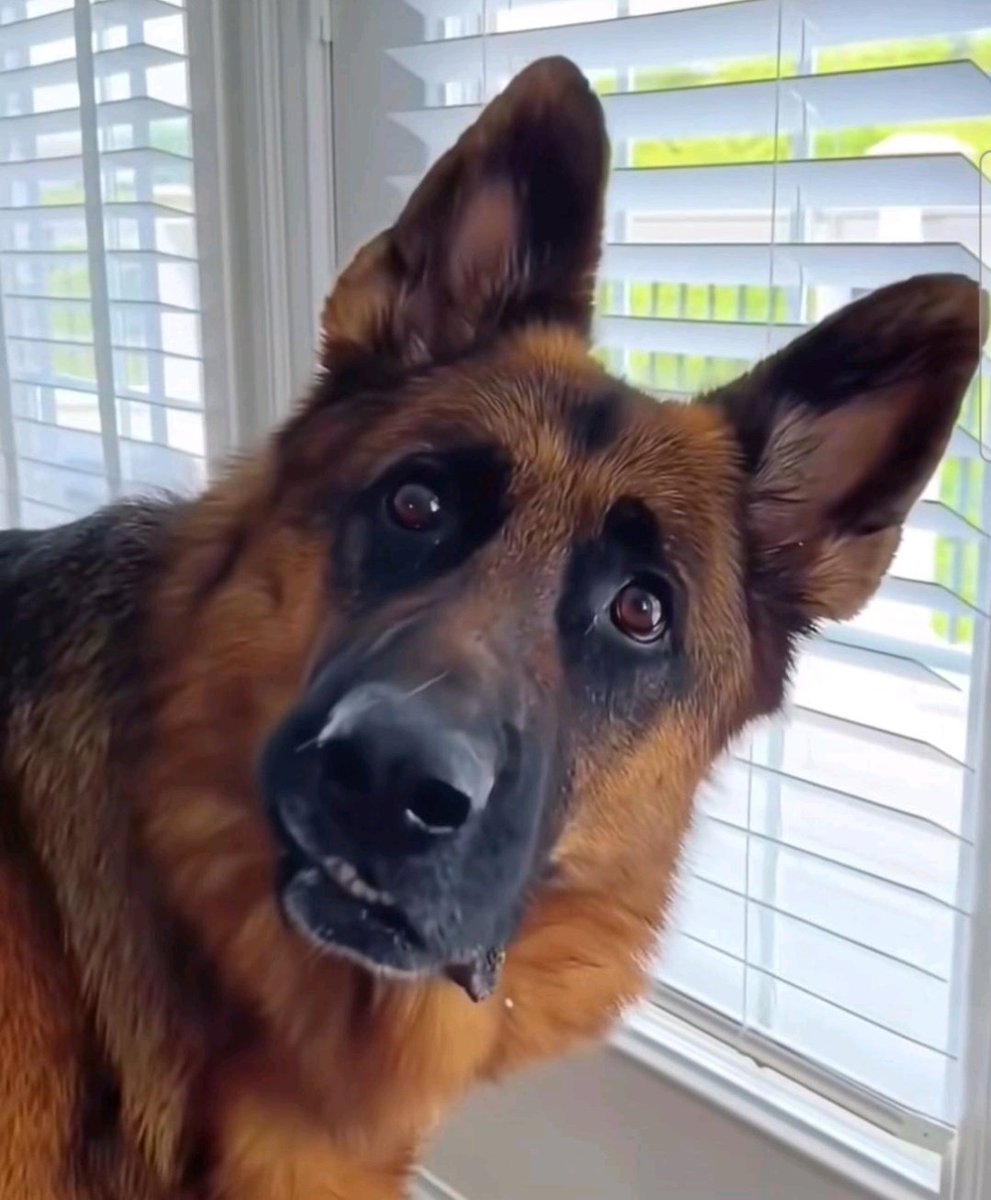 Uni is starting in less than 2 months