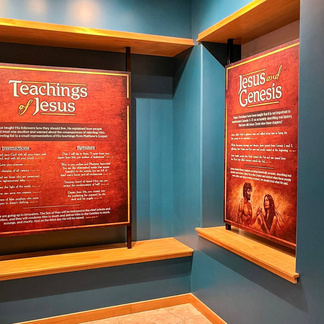 God sent his Son, Jesus—who lived a perfect life, died on the cross, and rose from the dead—to pay the price for our sin that we inherited from Adam.