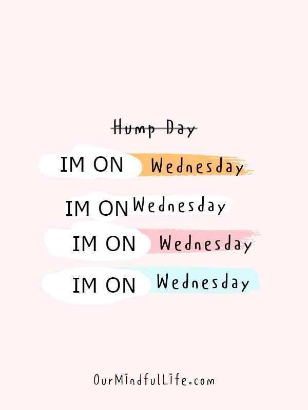 AnythingTypeBeats tweet media