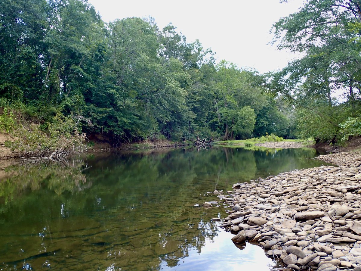 Kyler Hecke tweet media