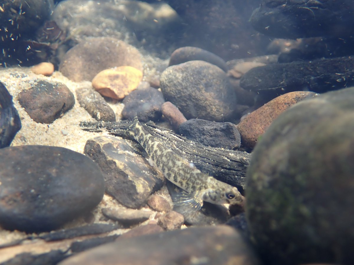 Kyler Hecke tweet media