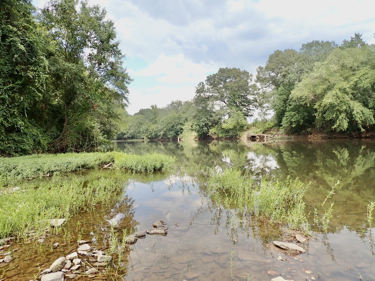 Kyler Hecke tweet media