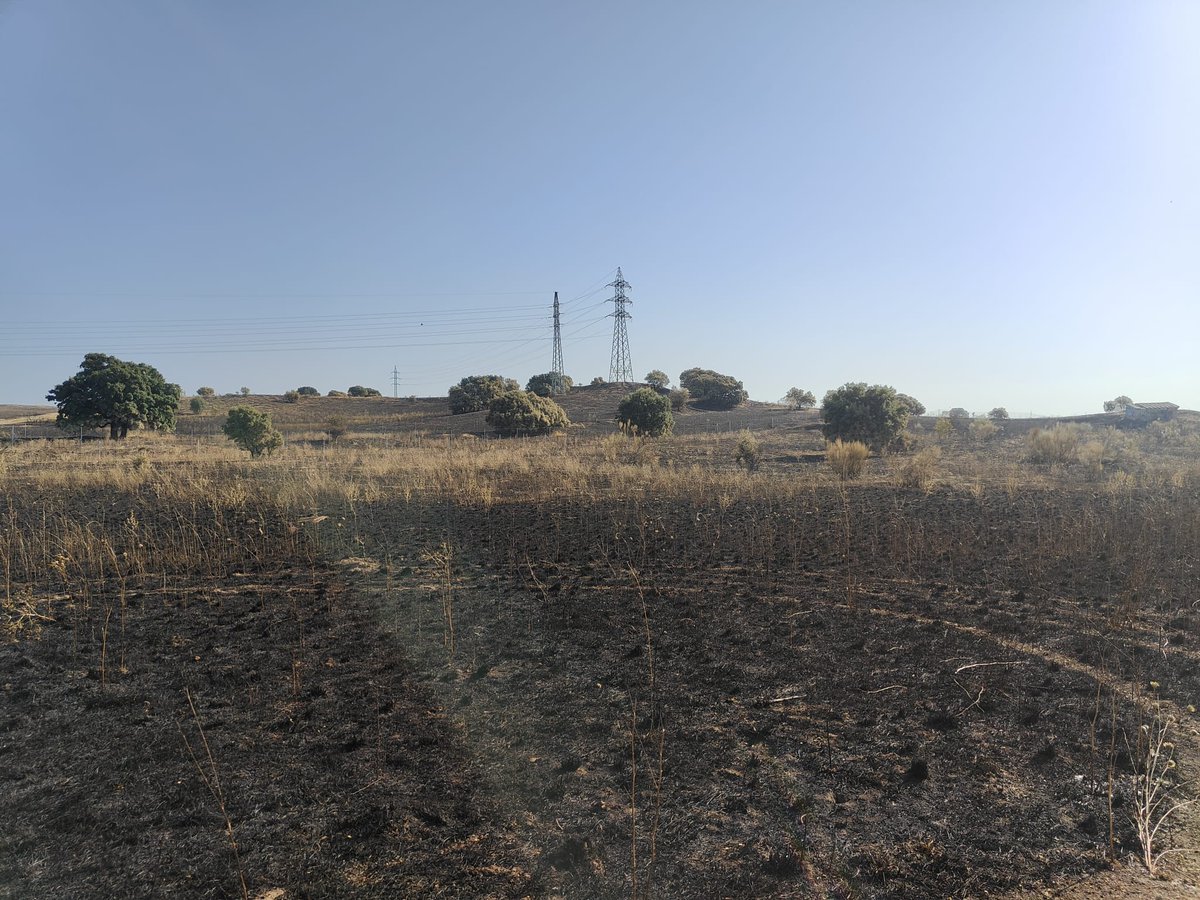 ARBA Tres Cantos tweet media