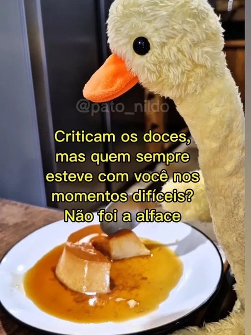 memes para relaxar e sobreviver tweet media