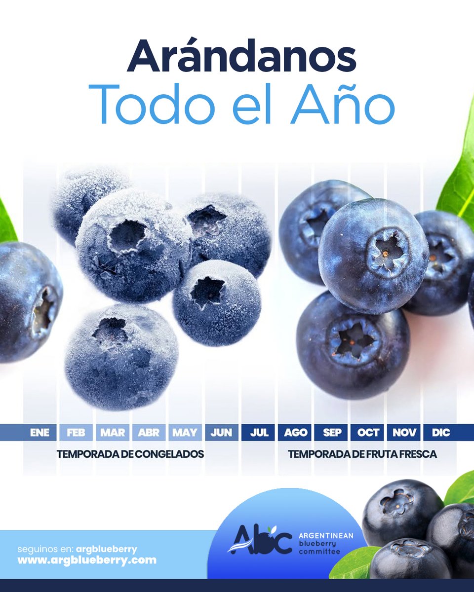 UN SUPERALIMENTO TODO EL AÑO
La temporada de arándanos FRESCOS argentinos va de mediados de agosto a principio de enero aproximadamente. Durante el resto del año tenemos una alternativa tan saludable, rica y versátil como la fruta fresca, los arándanos CONGELADOS