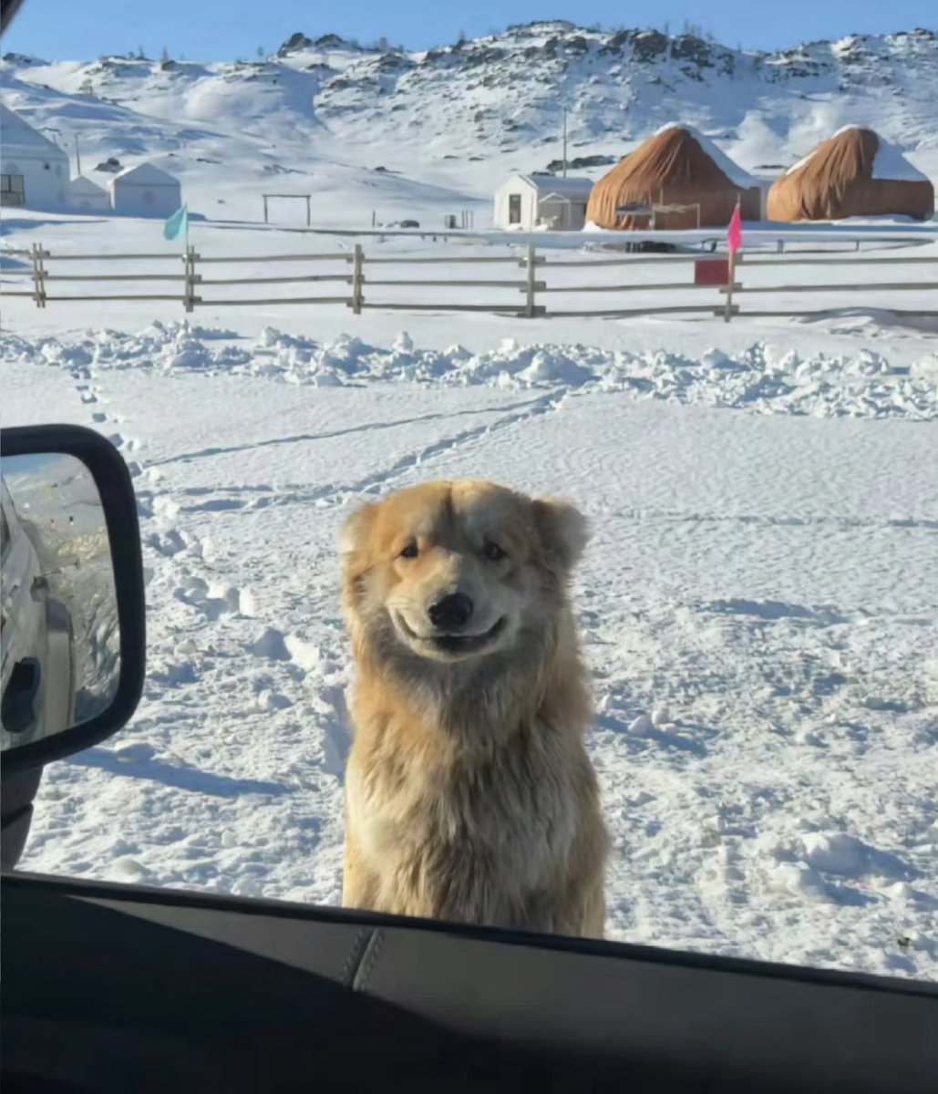 twaniimals's tweet photo. https://t.co/A2FRUcybP5