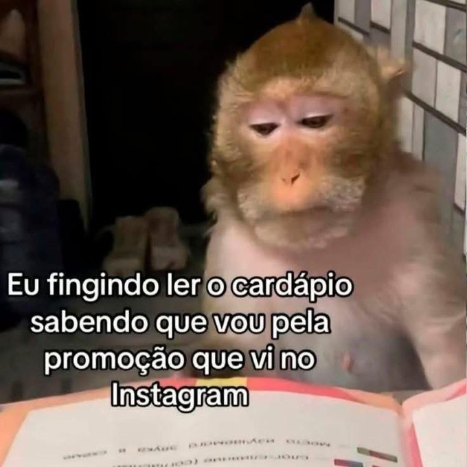 memes para relaxar e sobreviver tweet media