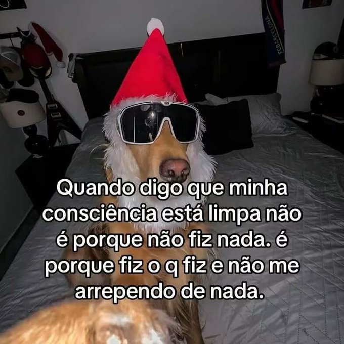 memes para relaxar e sobreviver tweet media