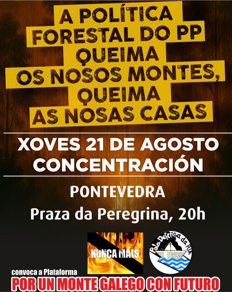 defensadaria's tweet photo. 🔥A política forestal do PP queima os nosos montes e as nosas casas!

📍Concentración este xoves 21 de agosto, ás 20:00h na Praza de Peregrina
📢 "Por un Monte Galego con Futuro"

#LumesNuncaMáis

https://t.co/YeaSWObYoR https://t.co/fbgItPCeV2