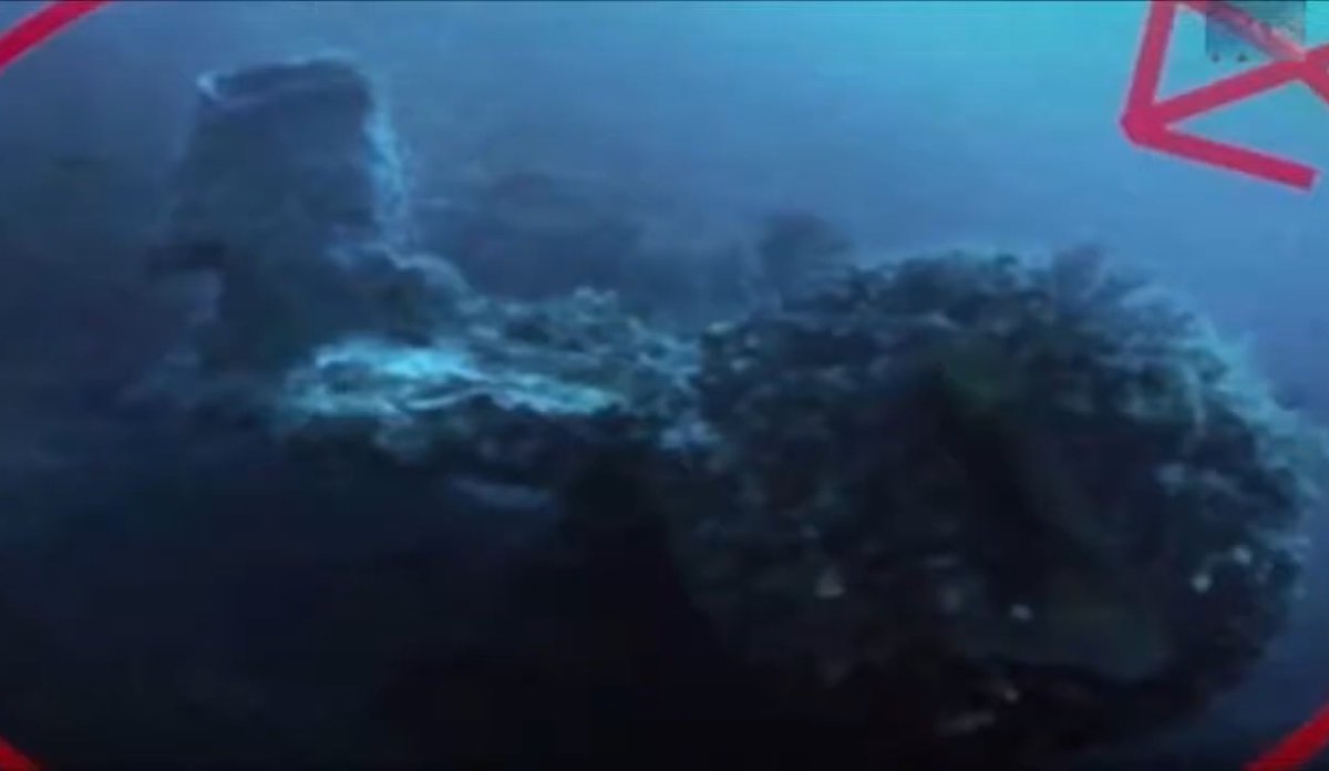LwMark1134's tweet photo. Gordon coopers supposed photos of USO from the Bermuda Triangle and video
Video:
https://t.co/0TR82iUP4Z
#disclosure #uso #ufo #uap #aliens #nhe #nhi #bermudatriangle #gordoncooper #ufoX #ufotwitter https://t.co/CwB1QyU88F
