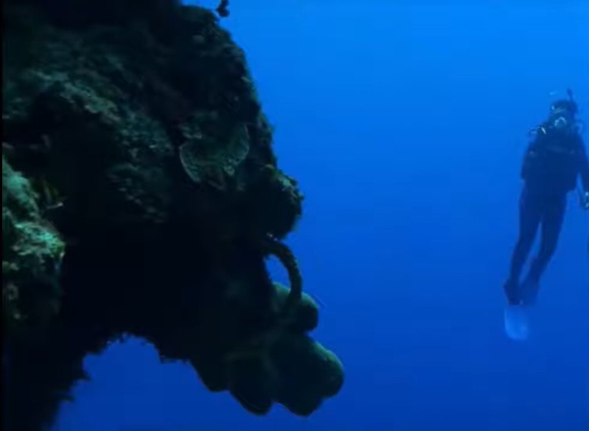 LwMark1134's tweet photo. Gordon coopers supposed photos of USO from the Bermuda Triangle and video
Video:
https://t.co/0TR82iUP4Z
#disclosure #uso #ufo #uap #aliens #nhe #nhi #bermudatriangle #gordoncooper #ufoX #ufotwitter https://t.co/CwB1QyU88F