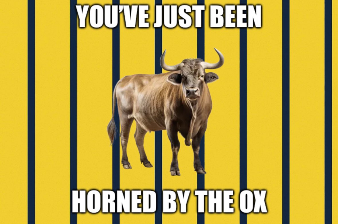 oxfjack's tweet image. I love how shit this is