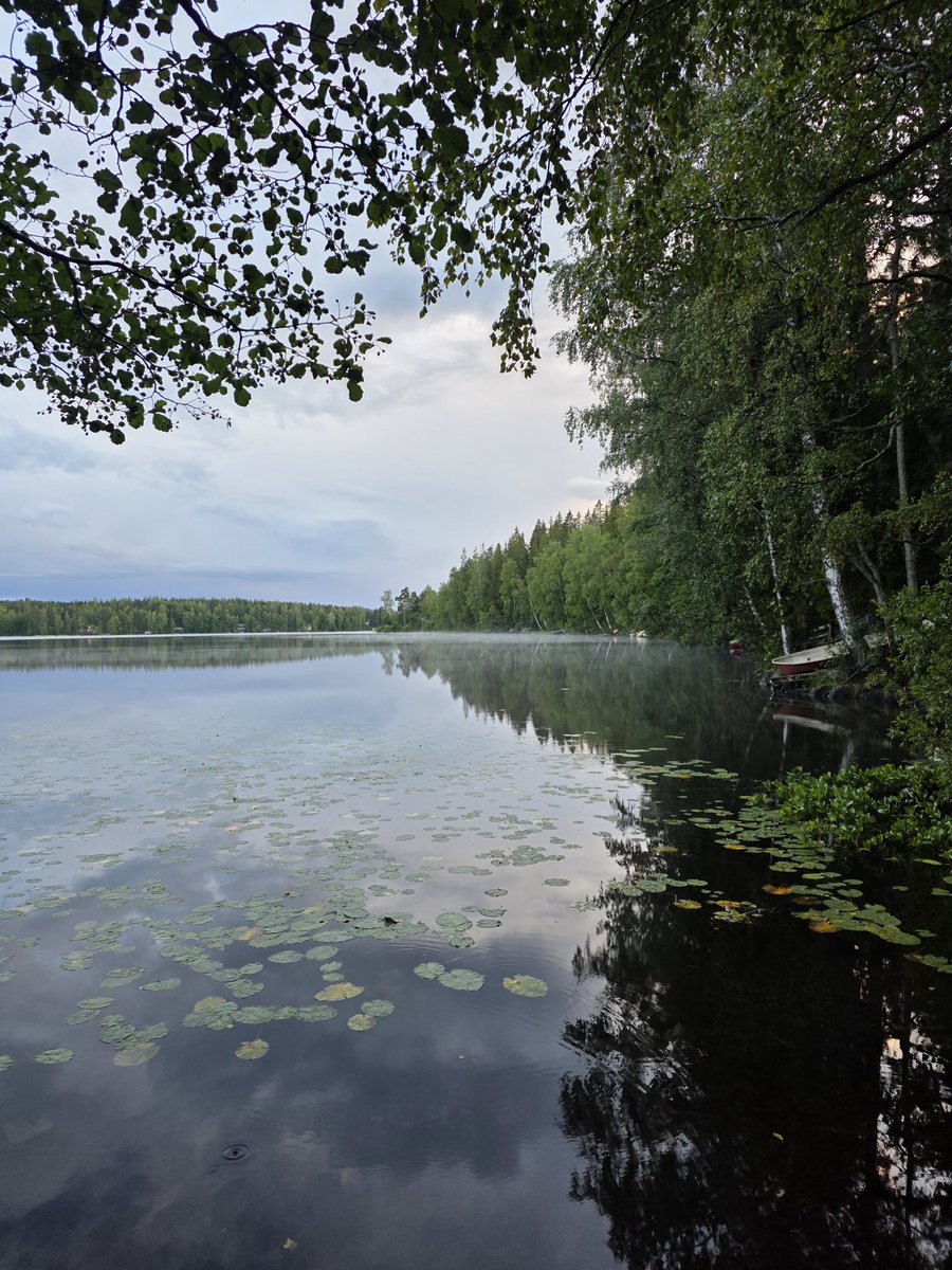Usva nousee viileään iltaan. 🤍