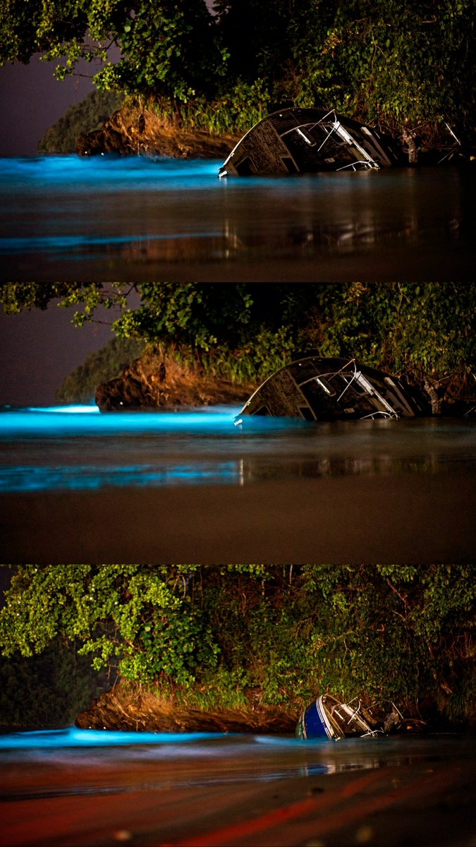 kevinbenny's tweet photo. Bioluminescence, Trinidad.
#kevinbennyphotography https://t.co/ouCXQRpfGn