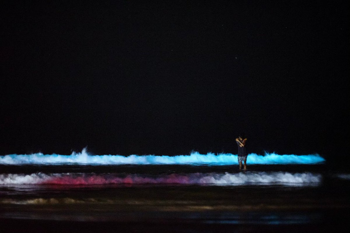 kevinbenny's tweet photo. Bioluminescence, Trinidad.
#kevinbennyphotography https://t.co/ouCXQRpfGn