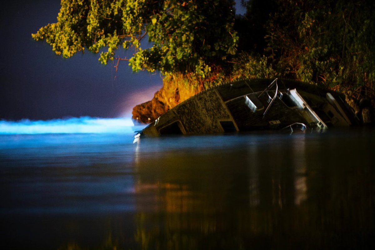 kevinbenny's tweet photo. Bioluminescence, Trinidad.
#kevinbennyphotography https://t.co/ouCXQRpfGn