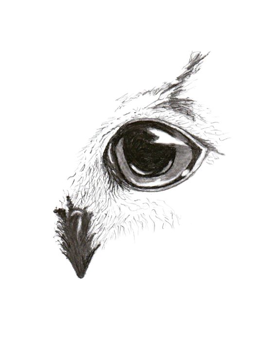 artmeinspired's tweet photo. Art of the Day! "The Owl". Buy at: https://t.co/XZsfDqqzpx https://t.co/AyZf22j4ae
