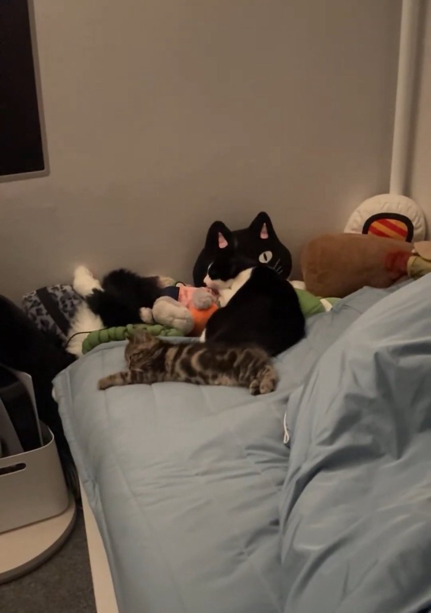 진짜진짜 고맙다는 말밖에 전할말이없지만 그래도 정말 고맙고 진짜 고맙고 너무 고맙다  ㅠㅠㅠ
내 일상이 된 준성호야ㅠㅠㅠㅠㅠㅠㅠ나는 이 둘에게 보채지도 부담주지도 않을게🤙🏻그냥 행복한 모습만 종종 보여줘라… 사랑한다ㅠㅠㅠ