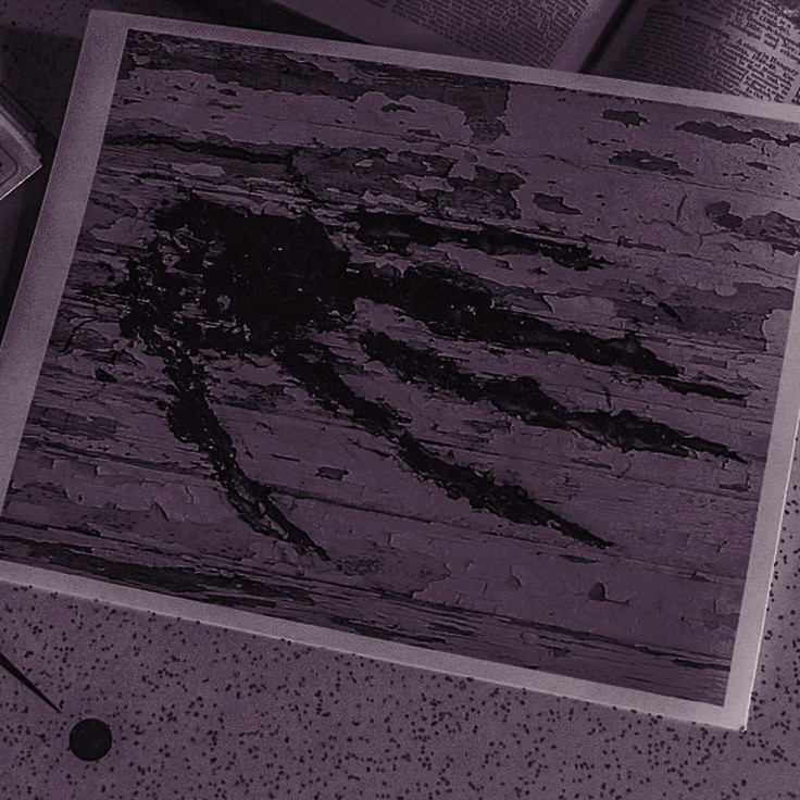 Devouschar's tweet image. 