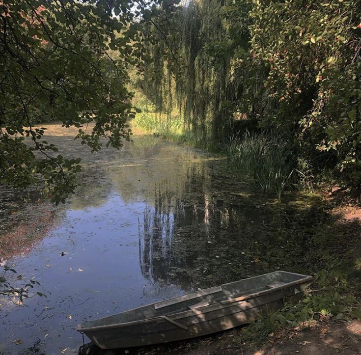 og and some ghazal here