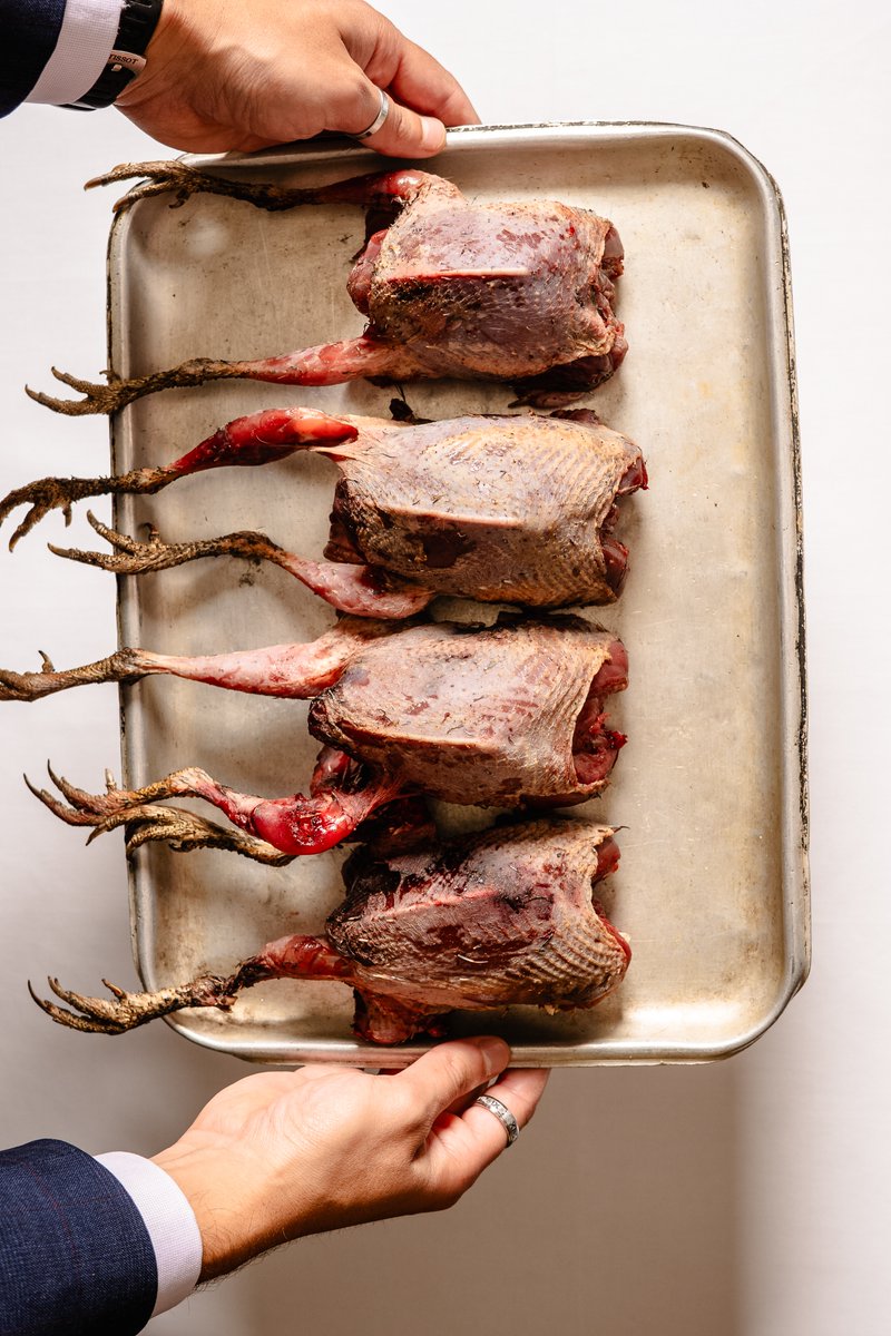 Corrigan's Mayfair tweet media