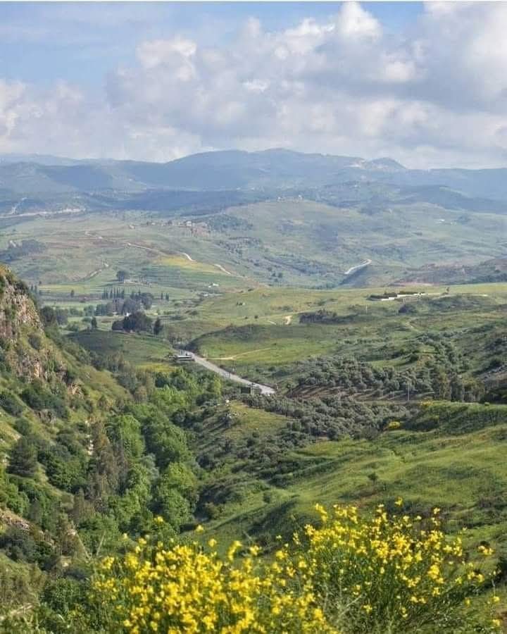 alameleya's tweet photo. عتاب النذل اجتنابه
يعاني وطننا #لبنان من تسونامي نذالة
حفظ الله جبل عامل ولبنان من شرور الأشرار وكيد الفجار https://t.co/pXA5aTamL3