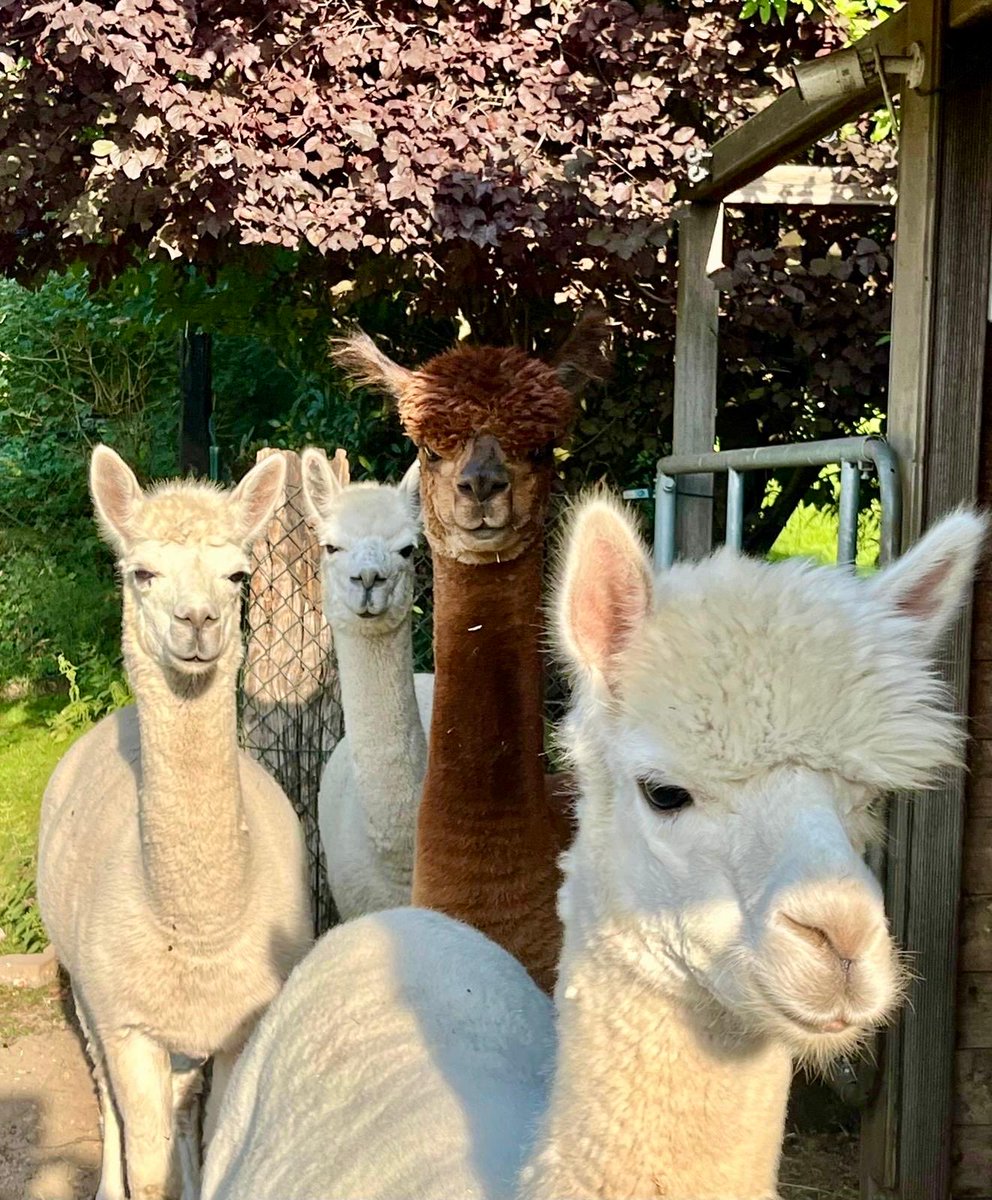 Gemeinsam voran ✌️🥰!!