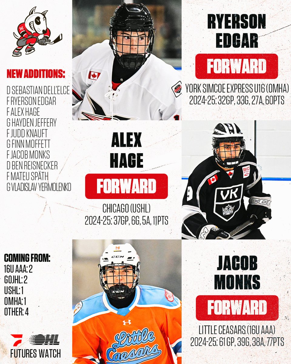 #OHL Futures Watch: <a href="/OHLIceDogs/">Niagara IceDogs</a> 

The future in Niagara is bright and loaded with talent!

DETAILS 🗞️: tinyurl.com/7rk97v62