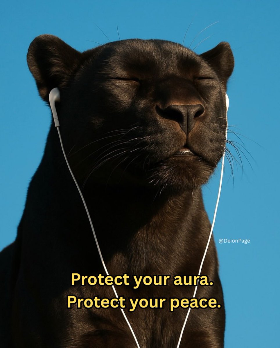 Deion 𓋹 (@calmdeion) on Twitter photo 