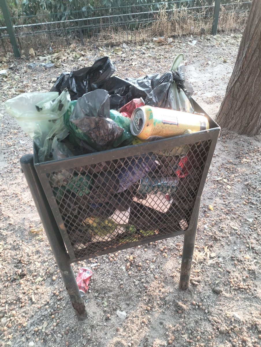 unaxmiia's tweet photo. @Lineamadrid pipican  justo al lado de la sede central de la EMT (RETIRO) hay 4 papeleras llenas de basura con moscas, es imposible estar con los perros porque está lleno de basura, heces y moscas...
Por favor queremos un espacio limpio para ellos https://t.co/HuIDDP6xaH