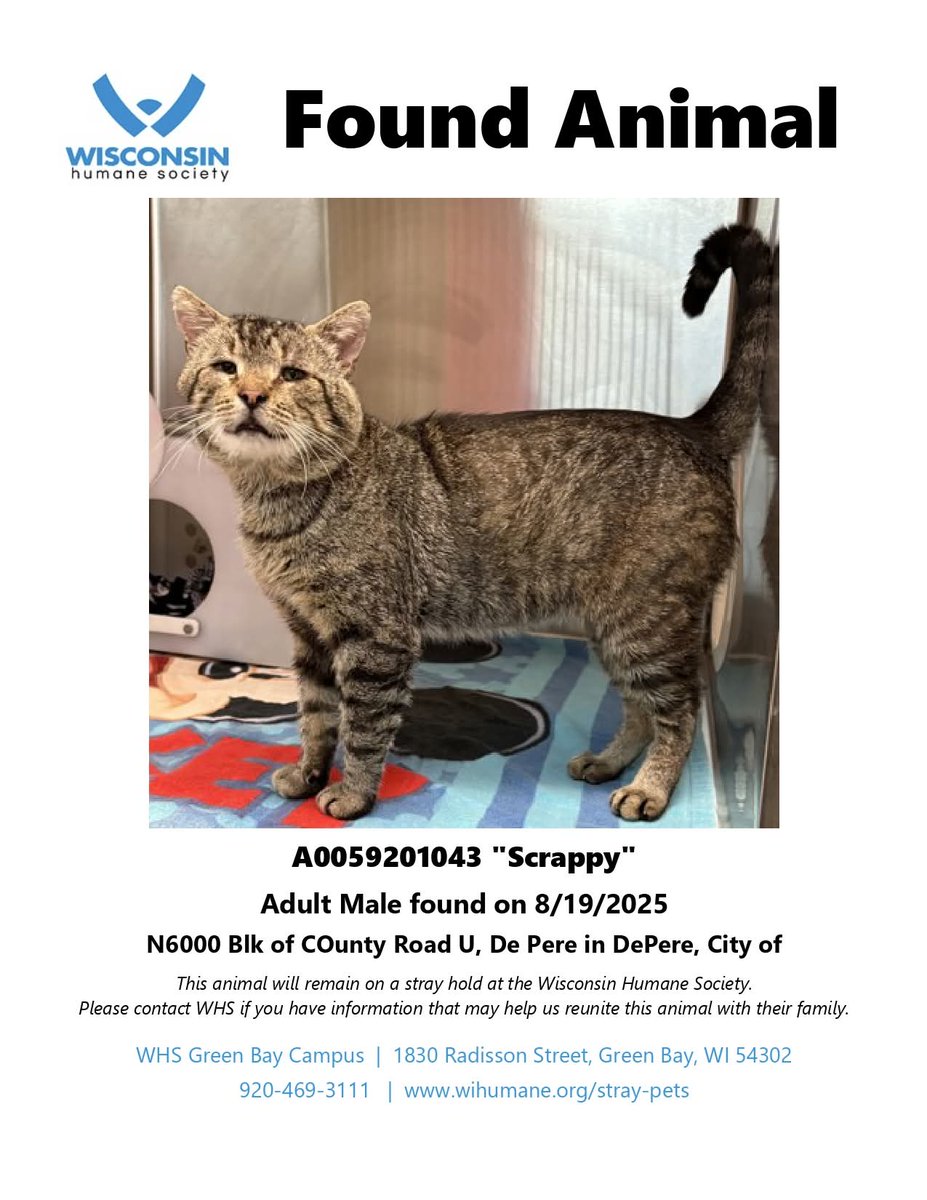 🌻 jakey baby 🌻 (@urfriendbird) on Twitter photo GREEN BAY WISCONSIN PLEASE GO ADOPT THIS SWEET BABY 😭❤️
<a href="/mrfishtopher/">Fishtopher and Friends</a> can you help spread the word?! GREEN BAY WISCONSIN PLEASE GO ADOPT THIS SWEET BABY 😭❤️
<a href="/mrfishtopher/">Fishtopher and Friends</a> can you help spread the word?!