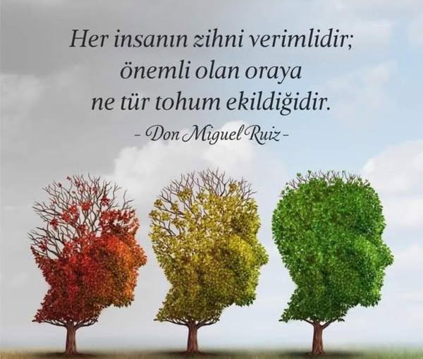 alp (@alp_all) on Twitter photo 