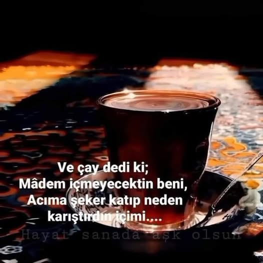 alp (@alp_all) on Twitter photo 
