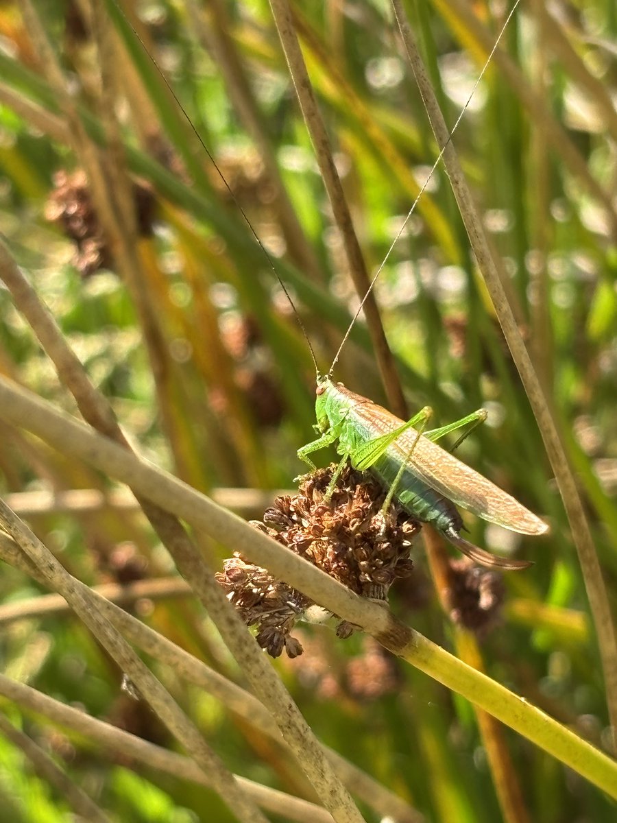 Graham Denny tweet media