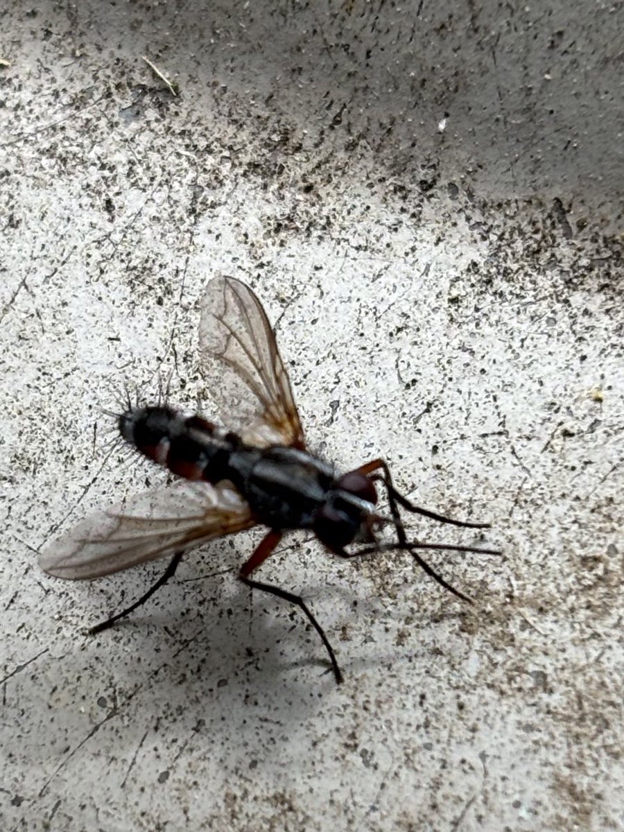 Graham Denny tweet media