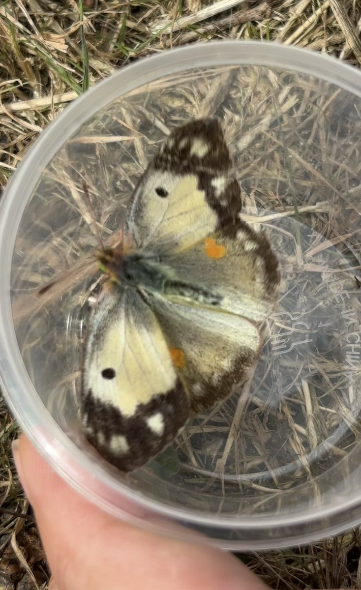 Graham Denny tweet media