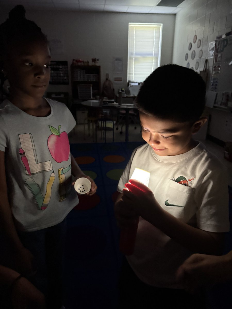 Chloe Ann tweet media