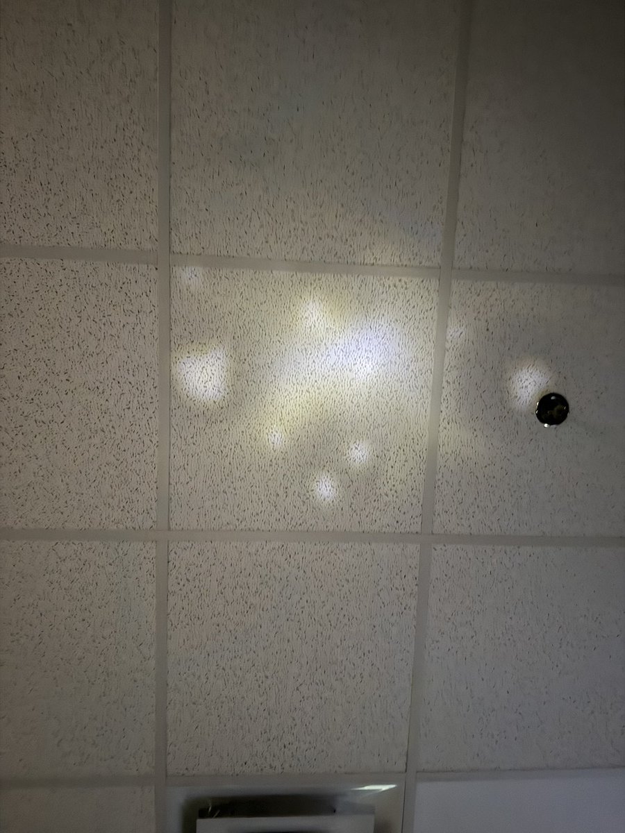 Chloe Ann tweet media