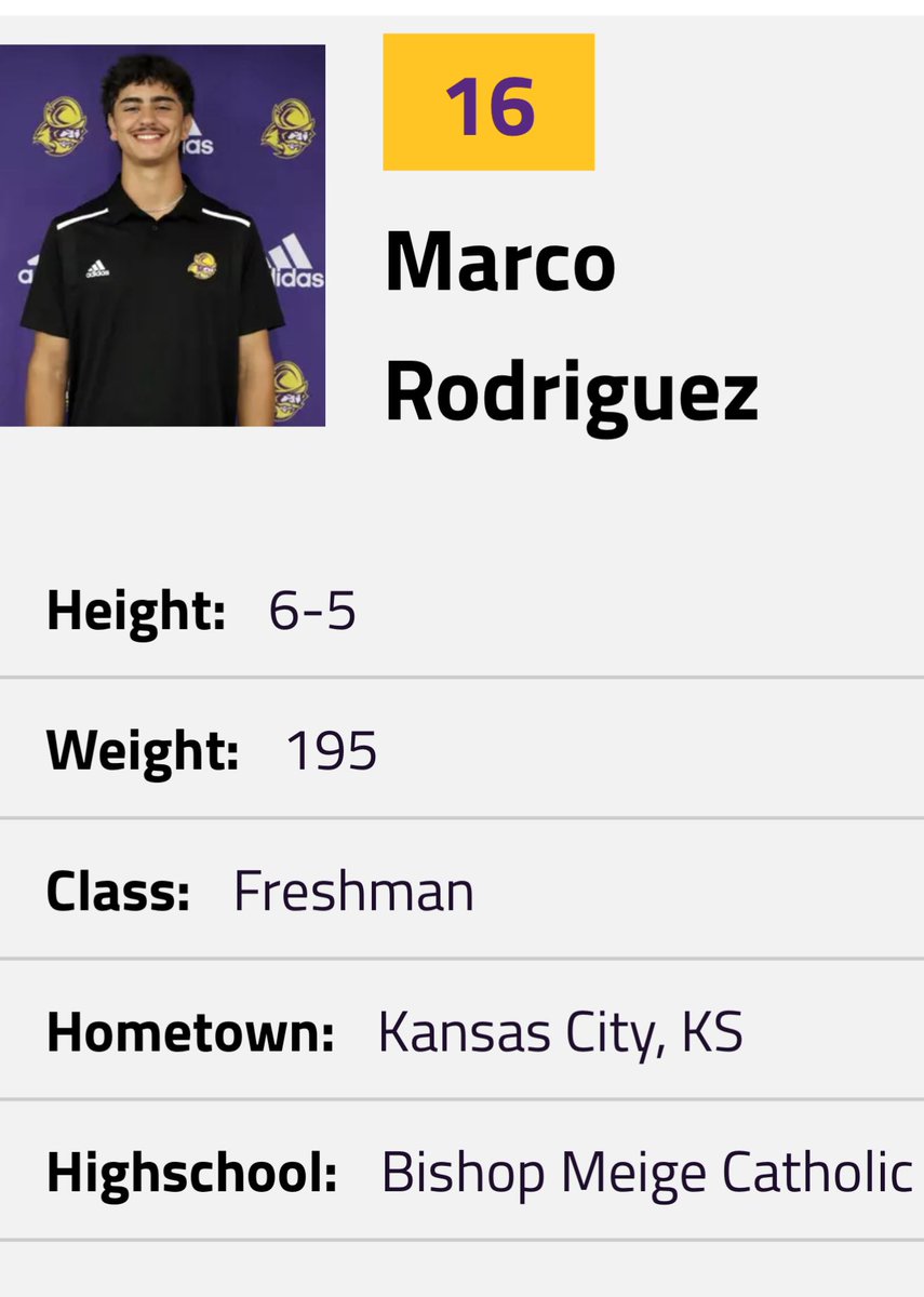 Marco Rodriguez tweet media