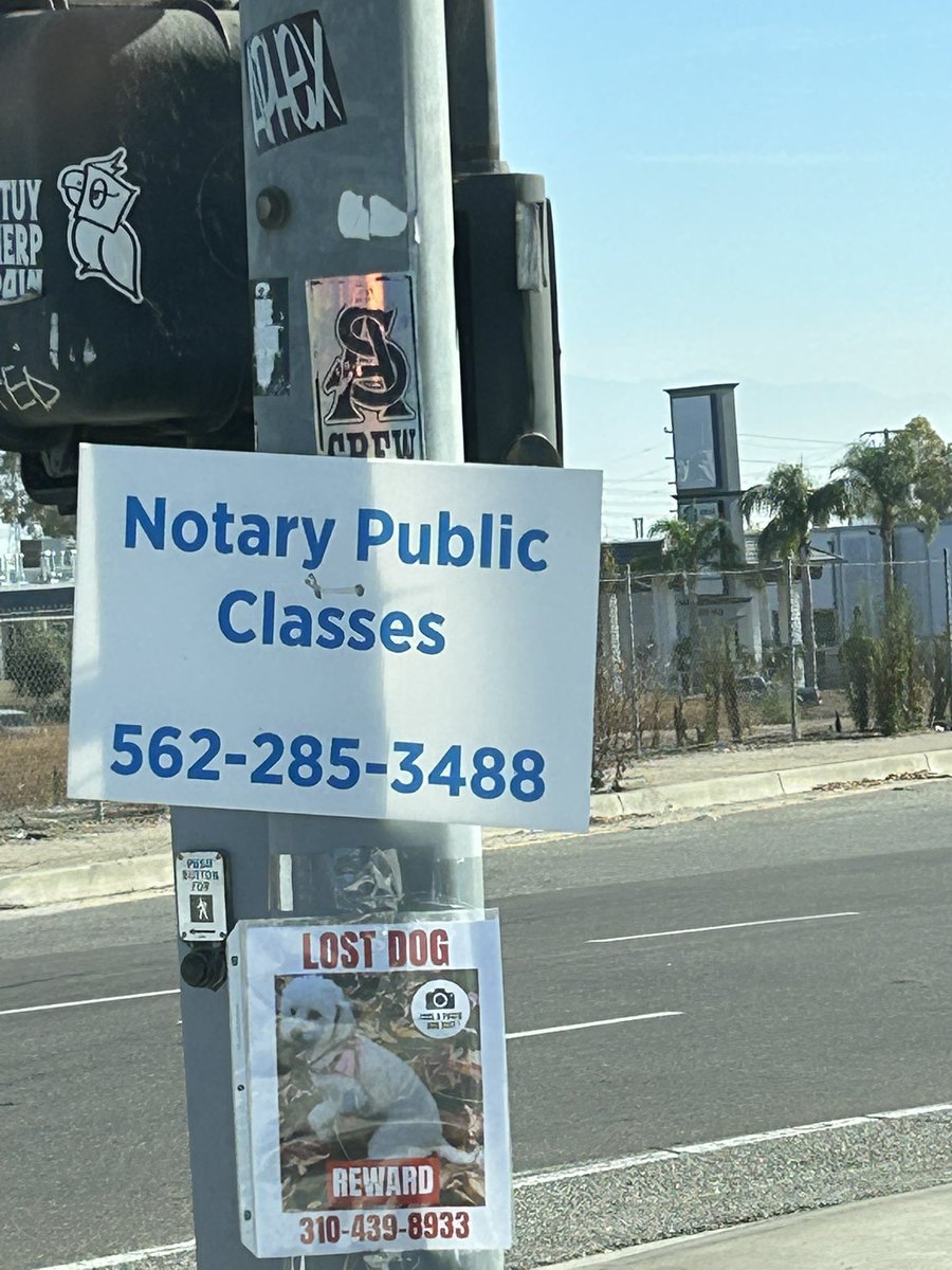 It would appear <a href="/3YearLetterman/">Three Year Letterman</a> is now offering life changing career changes.
Add that to his many accomplishments