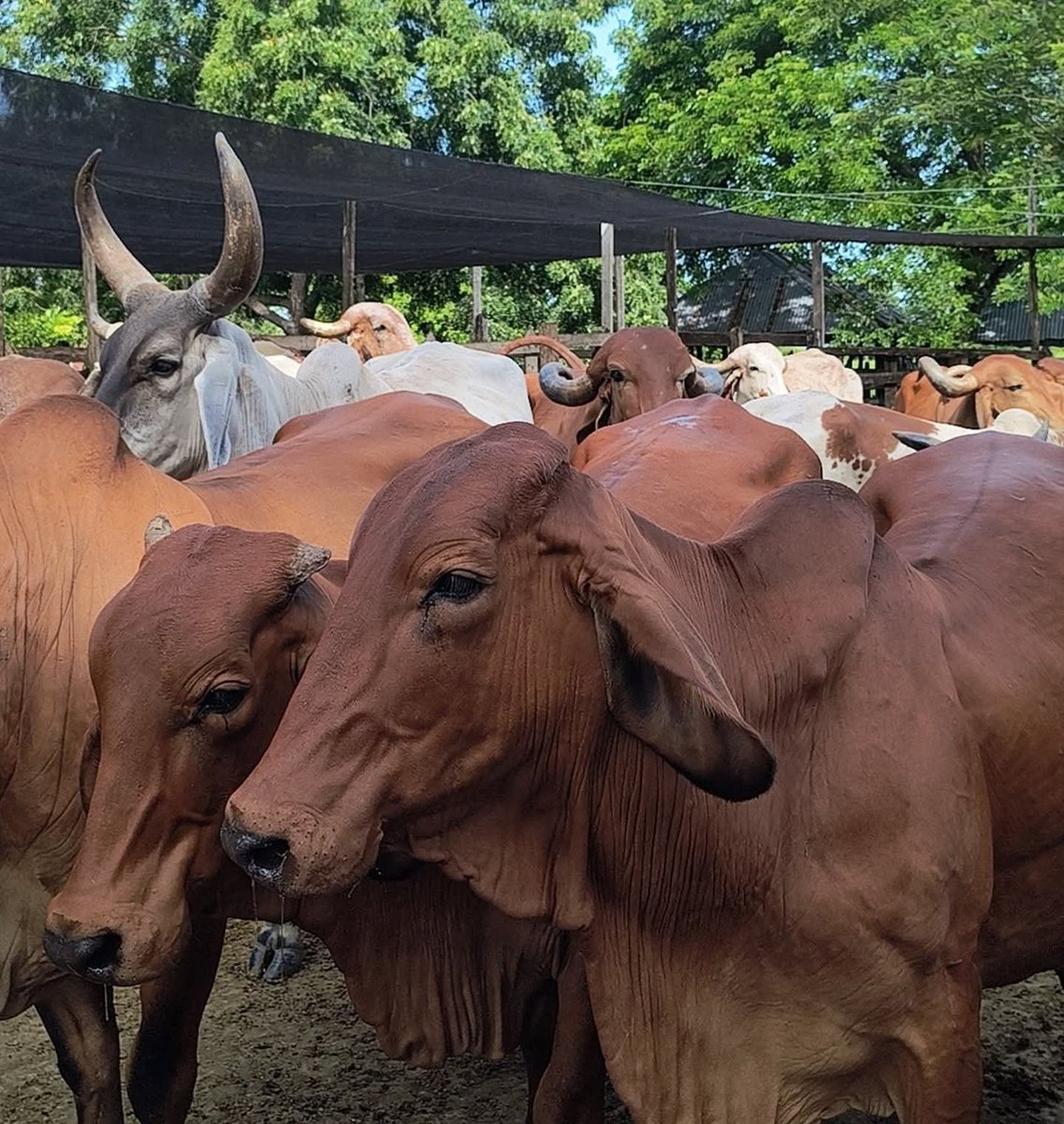Mis niños cuanto los quiero ...toñecos por demás