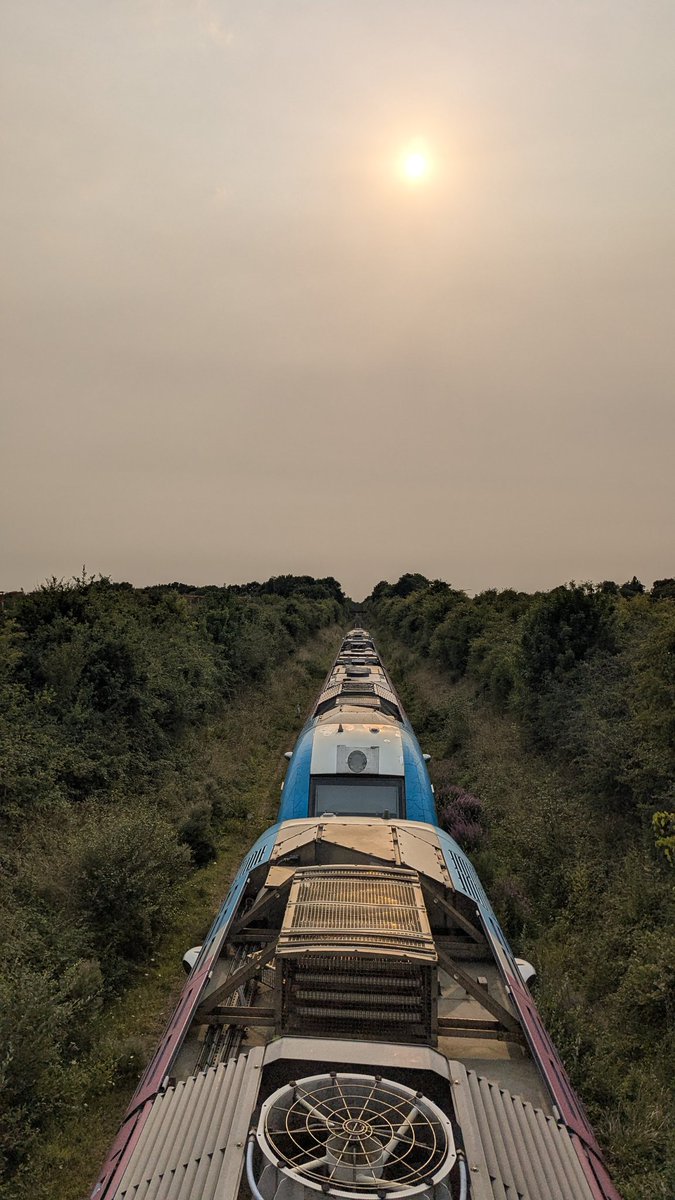 📆 Samedi 16 août 2025
📍Entre Rezé pont Rousseau et Bouaye 
<a href="/TERPays2LaLoire/">TER Pays de la Loire</a>