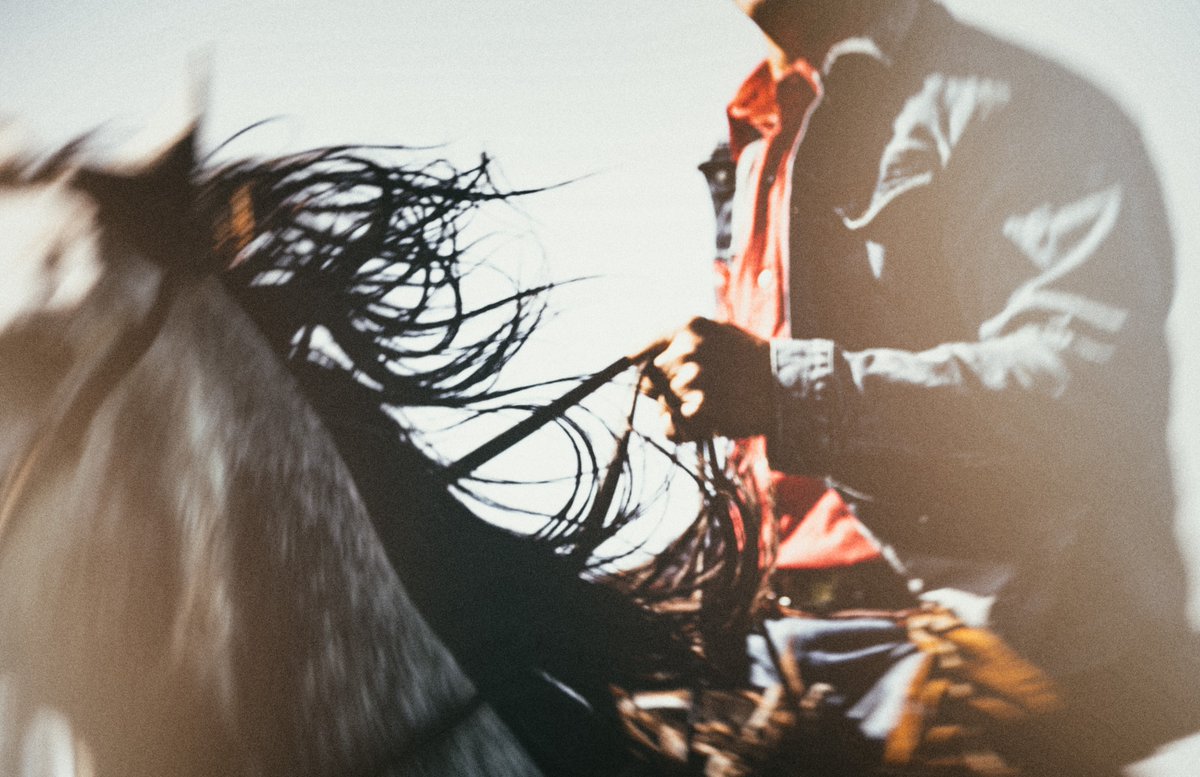 2rBeef's tweet photo. It's #HumpDay. Hold the reins tight and keep steering things your way. 

https://t.co/jhVsLbZHXs

#WesternWednesday #TheCowboyWay #LiveWell #Wellborn2RBeef #BeReal #BeRare #BeBold #BeBrave #StayInTheSaddle #RidefortheBrand https://t.co/GJhX1eXnFP