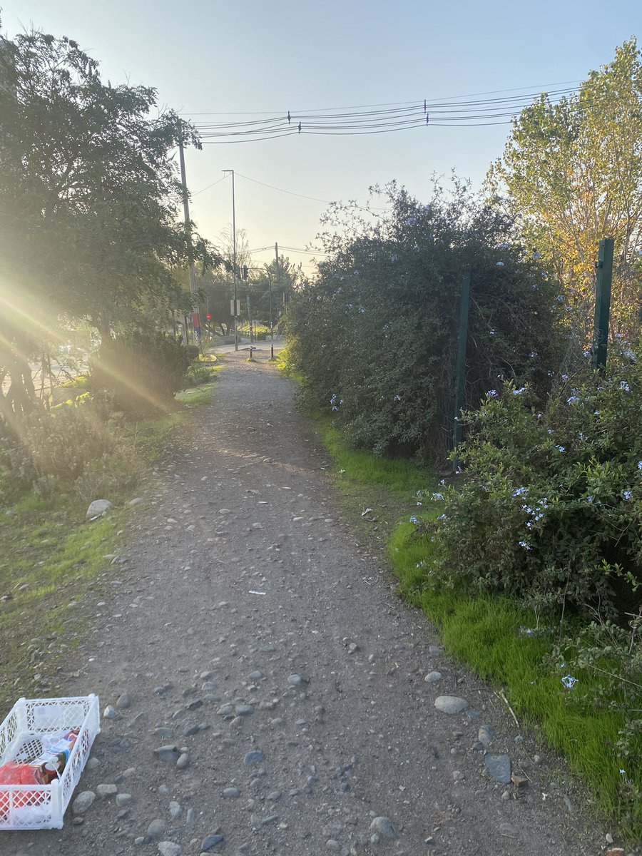 Orthobrack's tweet photo. @MiguelConcha Por años, la orilla del Canal San Carlos sigue en las mismas condiciones, sin mantención ni mejoras visibles. Este abandono no solo afecta la imagen del sector, sino que también genera inseguridad y posibles focos de insalubridad. https://t.co/ubddjjJXvJ