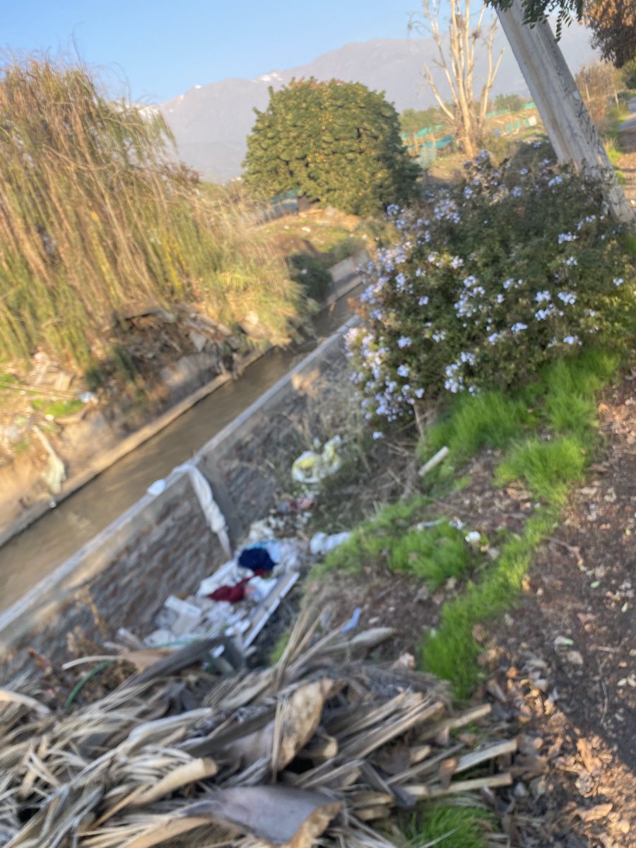 Orthobrack's tweet photo. @MiguelConcha Por años, la orilla del Canal San Carlos sigue en las mismas condiciones, sin mantención ni mejoras visibles. Este abandono no solo afecta la imagen del sector, sino que también genera inseguridad y posibles focos de insalubridad. https://t.co/ubddjjJXvJ